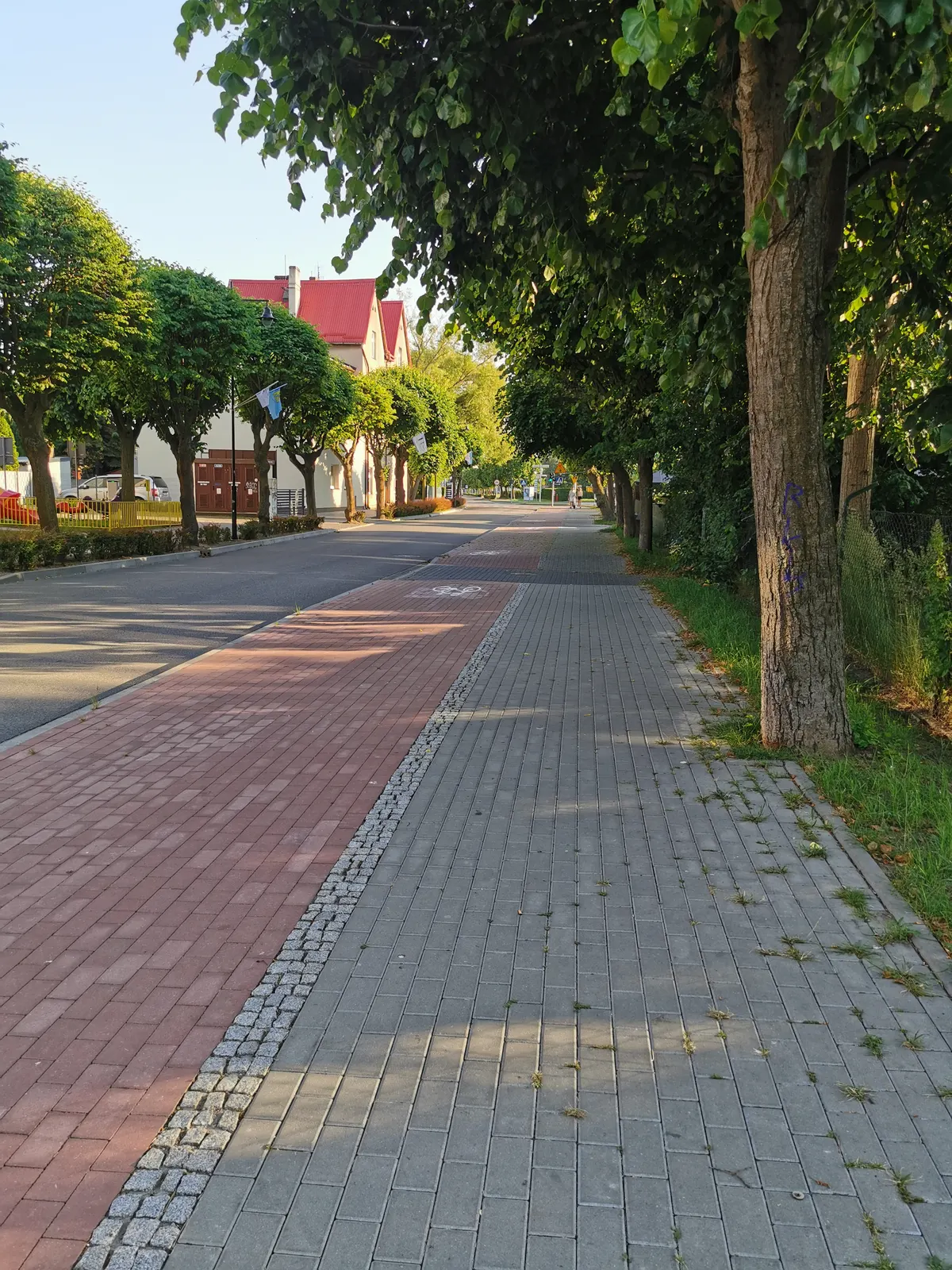 Zielona aleja ze ścieżką rowerową w Jastarni